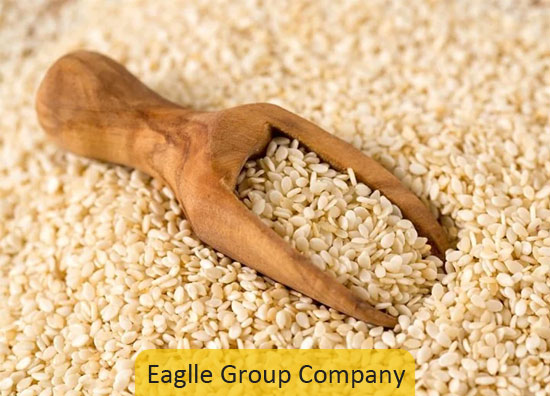 Sesame Seed