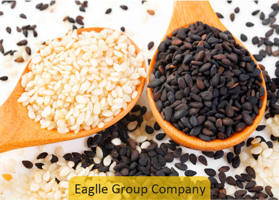 Sesame Seed