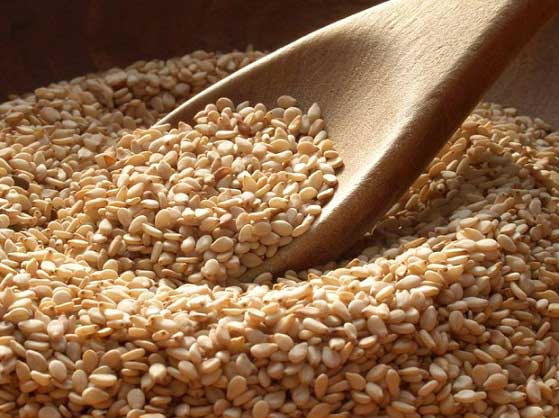 sesame seed