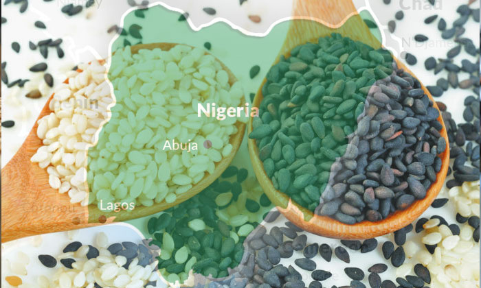 Recommended Packaging for Exporting Sesame Seeds